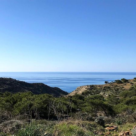 Amathousia Villa With Private Pool And Sea View Pissouri Bagian luar foto